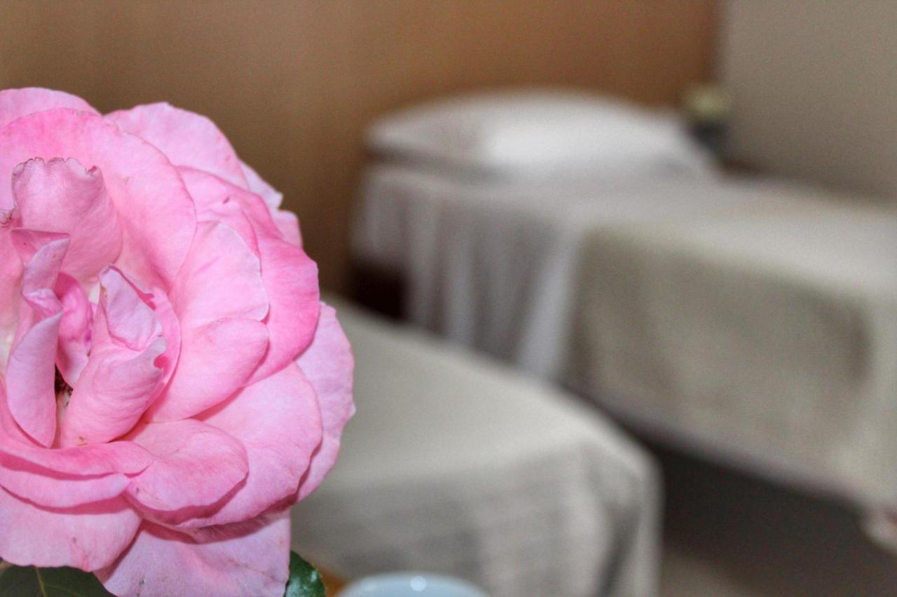 ג'יצריה Hotel Ristorante L'Avvenire מראה חיצוני תמונה